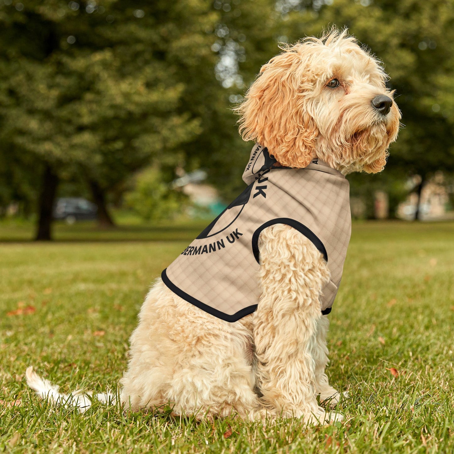 AARDUK - Dog Hoodie, Cozy Hoodie for Dogs, Pet Apparel, Dog Lover Gift, Dog Adoption Awareness, Fashion for Pets