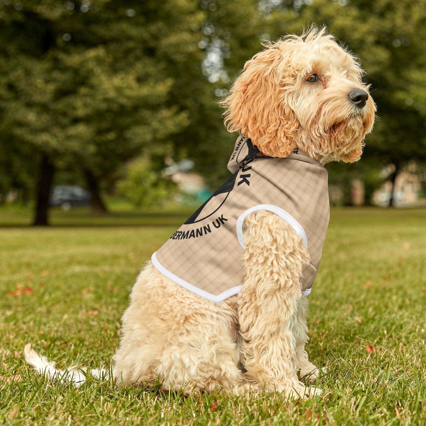 AARDUK - Dog Hoodie, Cozy Hoodie for Dogs, Pet Apparel, Dog Lover Gift, Dog Adoption Awareness, Fashion for Pets