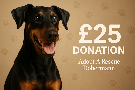Great, Just change Price to £25, and add a few more paw print watermarks in the background.