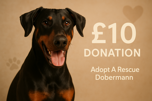 £10 Donation to Adopt A Rescue Dobermann